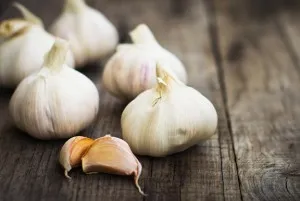 garlic