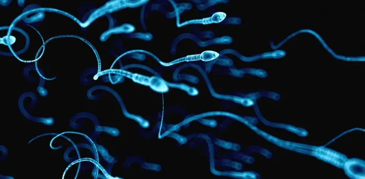 How to increase your sperm count