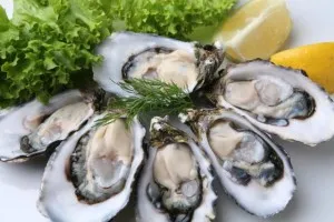 oysters
